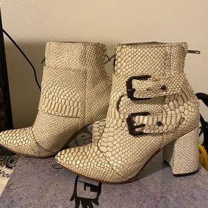 Freebird by Steven White Snake Joey size 7